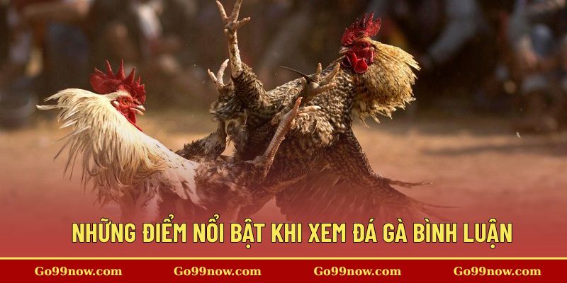 Những điểm nổi bật khi xem đá gà tại nền tảng