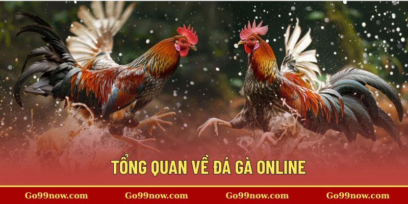 Tổng quan về đá gà online 